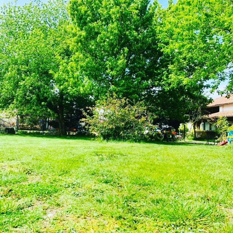 Villa Agriturismo La Pace à Valeggio sul Mincio Extérieur photo
