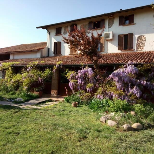Villa Agriturismo La Pace à Valeggio sul Mincio Extérieur photo