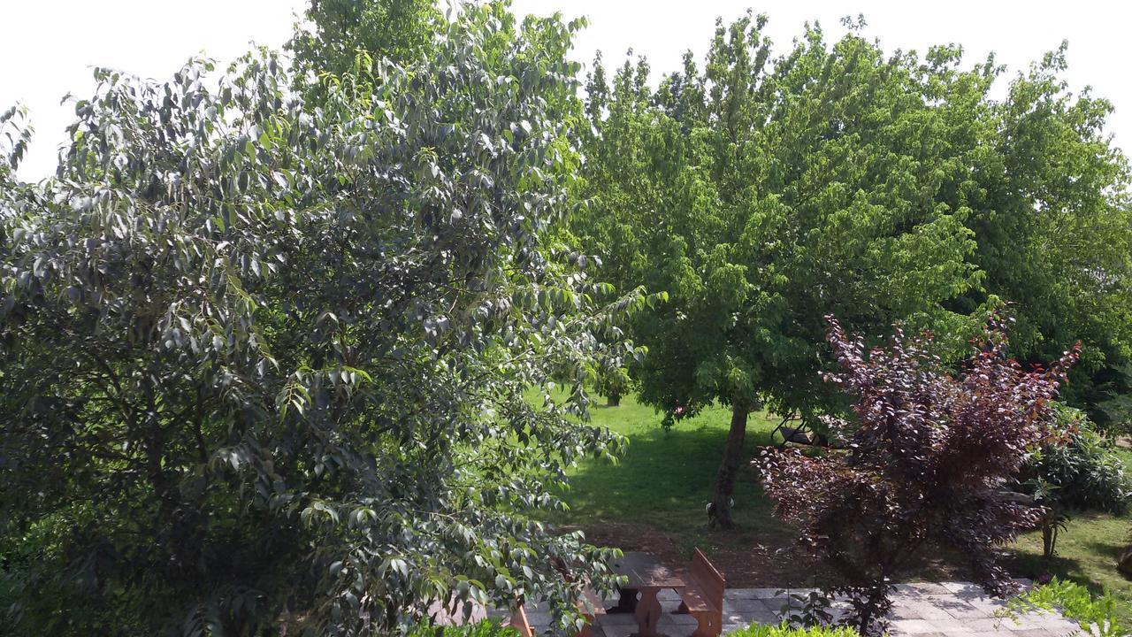 Villa Agriturismo La Pace à Valeggio sul Mincio Extérieur photo
